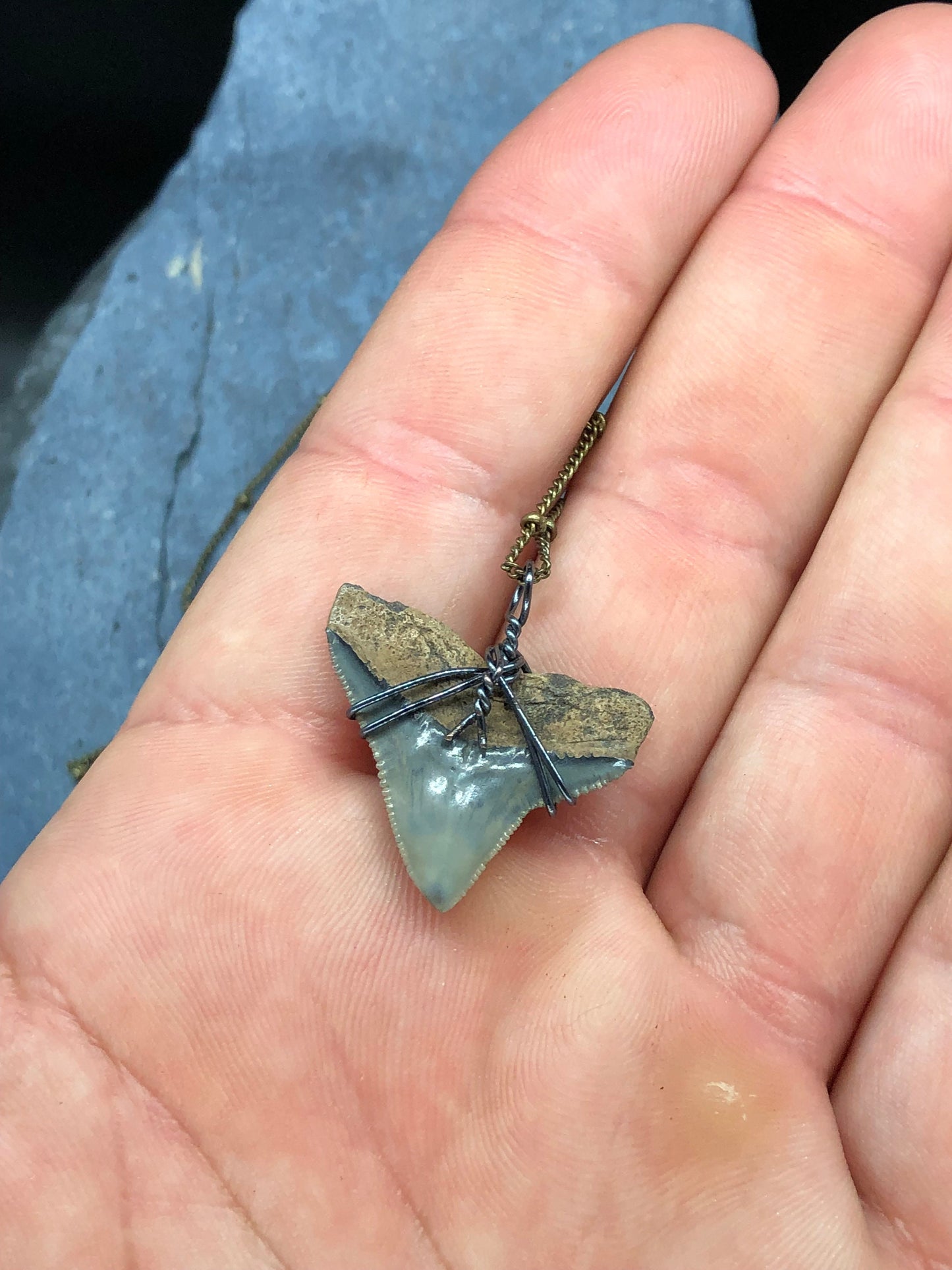 Bull Shark Necklace, Shark Tooth Necklace, Fossil Shark Tooth Necklace