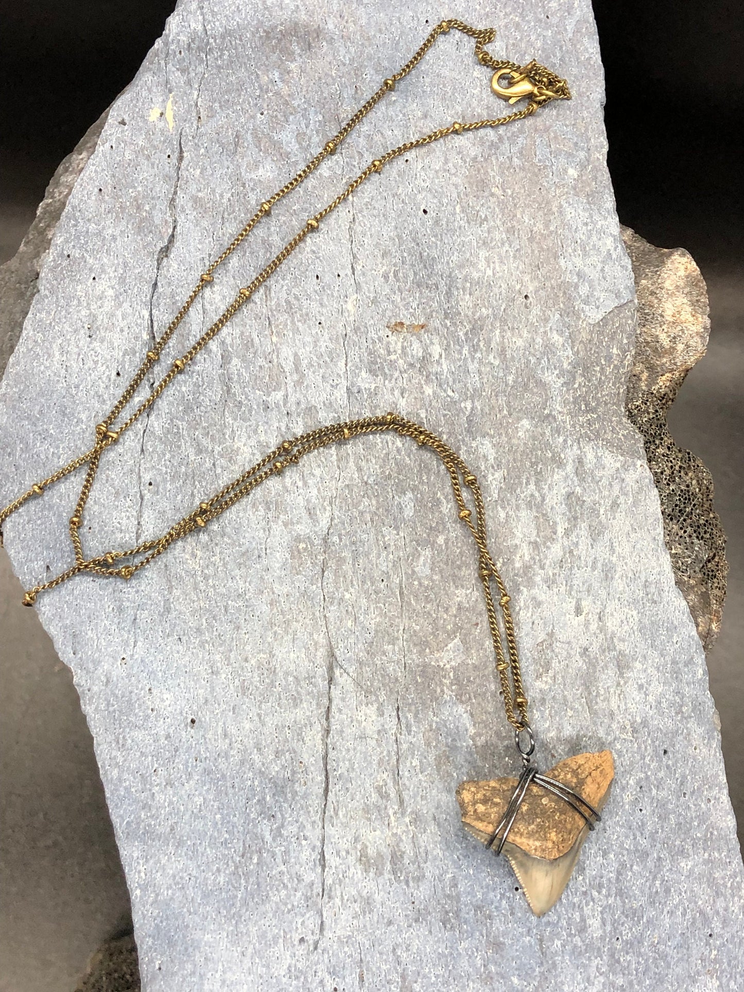 Bull Shark Necklace, Shark Tooth Necklace, Fossil Shark Tooth Necklace