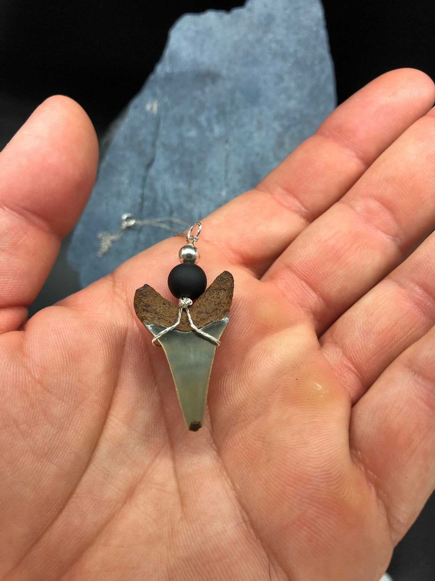 Mako shark tooth necklace, Fossil shark tooth Necklace, Shark tooth Necklace