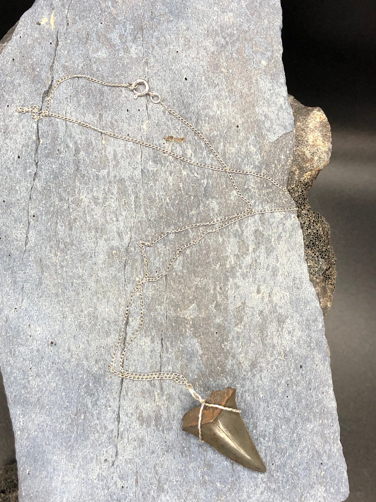 Mako shark tooth necklace, Fossil shark tooth Necklace, Shark tooth Necklace