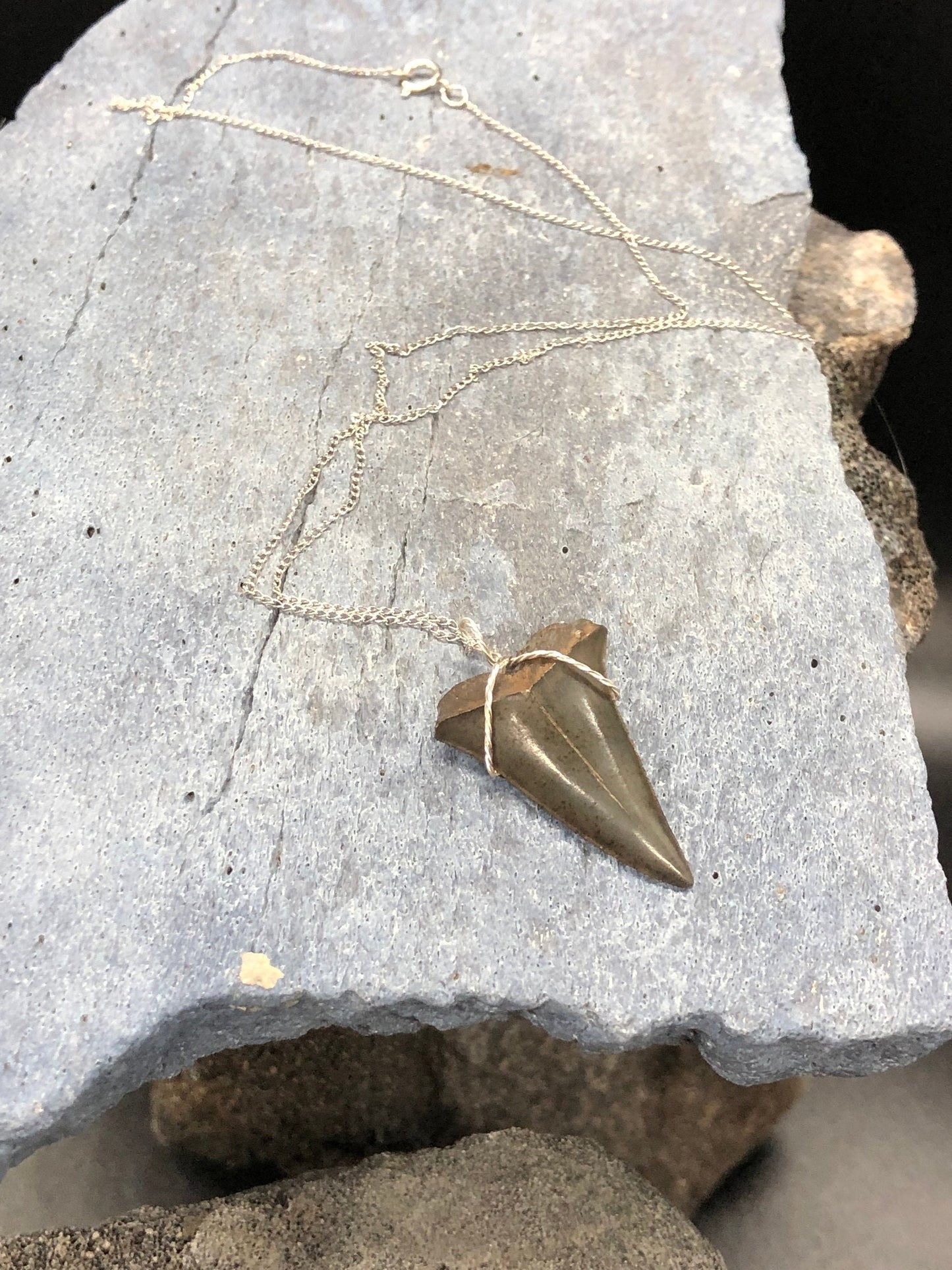 Mako shark tooth necklace, Fossil shark tooth Necklace, Shark tooth Necklace