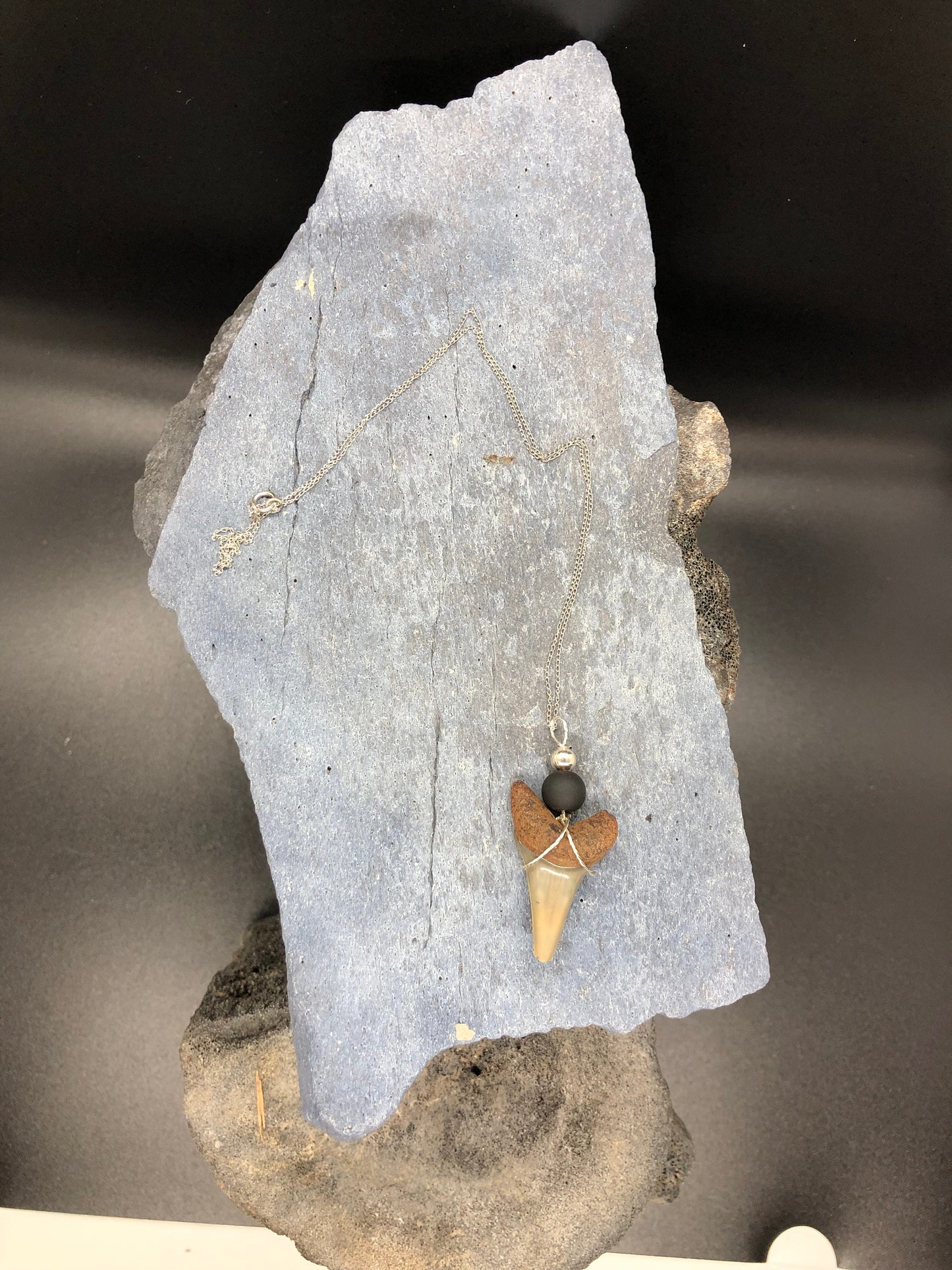 Mako shark tooth necklace, Fossil shark tooth Necklace, Shark tooth Necklace