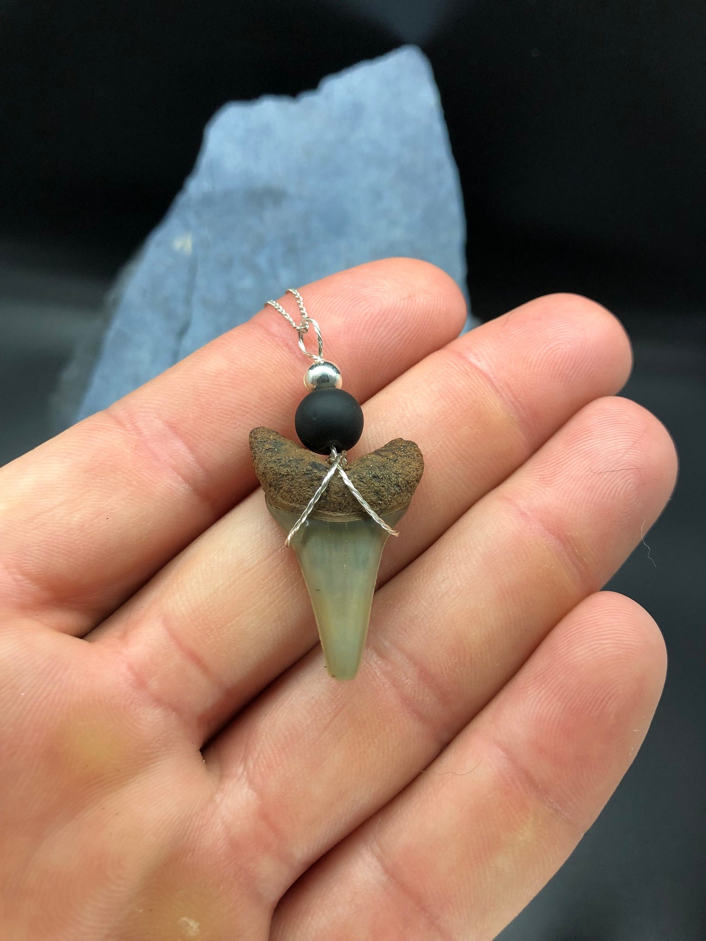 Mako shark tooth necklace, Fossil shark tooth Necklace, Shark tooth Necklace