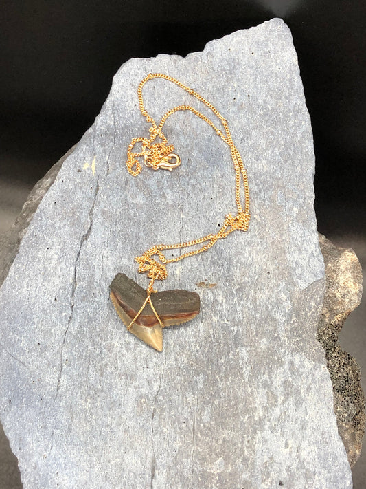Tiger Shark Necklace, Shark Tooth Necklace, Fossil Shark Tooth Necklace
