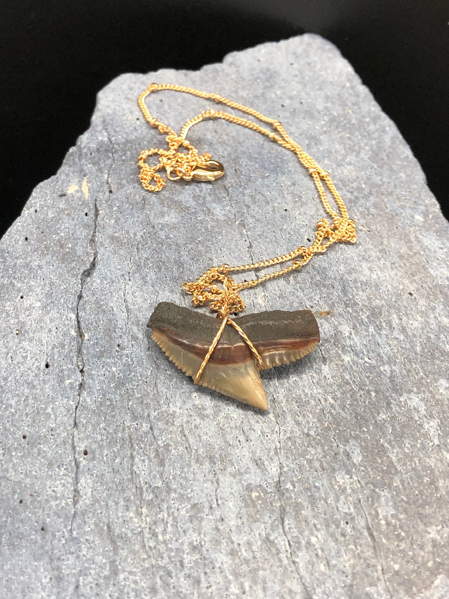 Tiger Shark Necklace, Shark Tooth Necklace, Fossil Shark Tooth Necklace