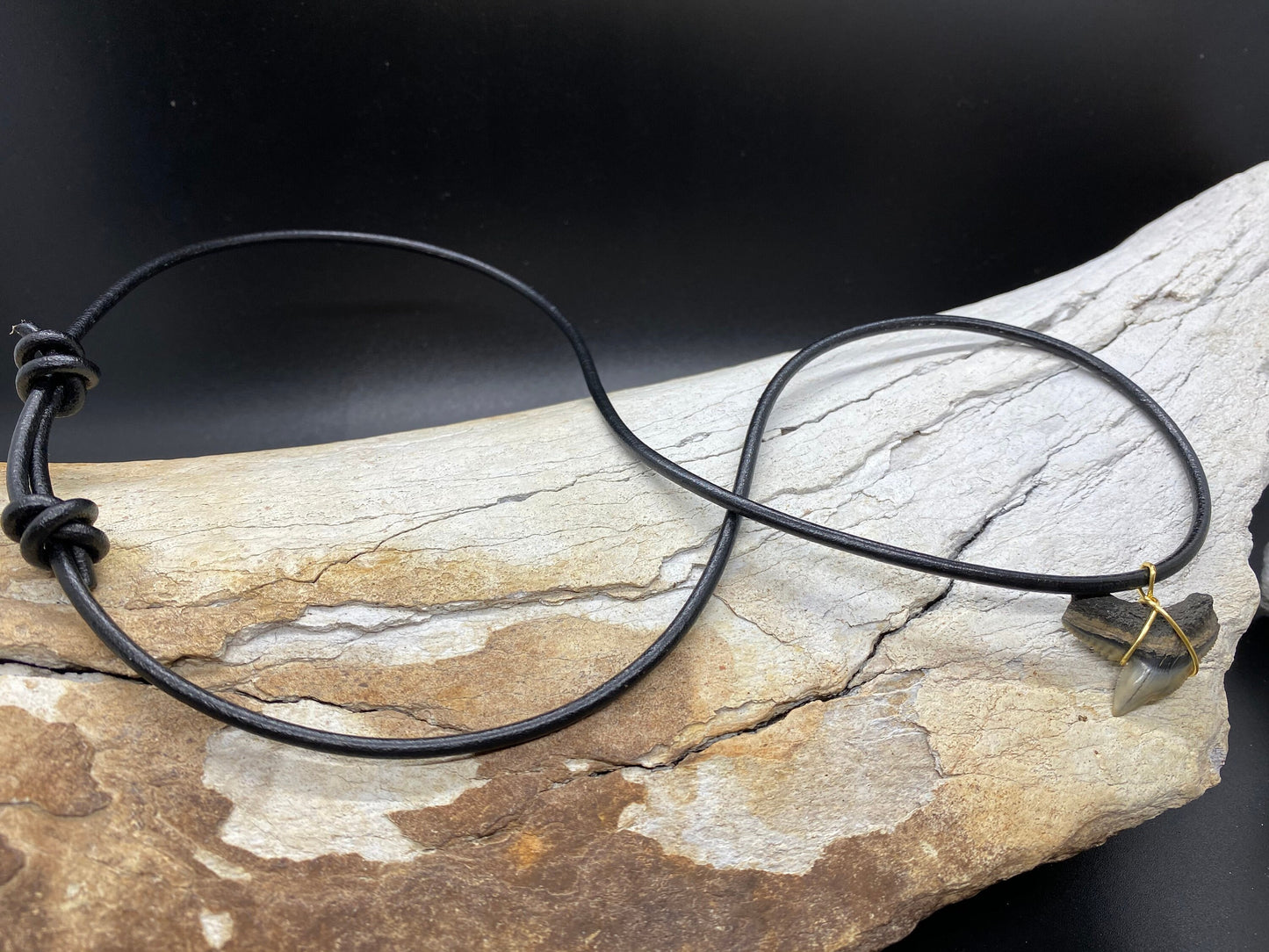 Tiger Shark Necklace, Shark Tooth Necklace, Fossil Shark Tooth Necklace