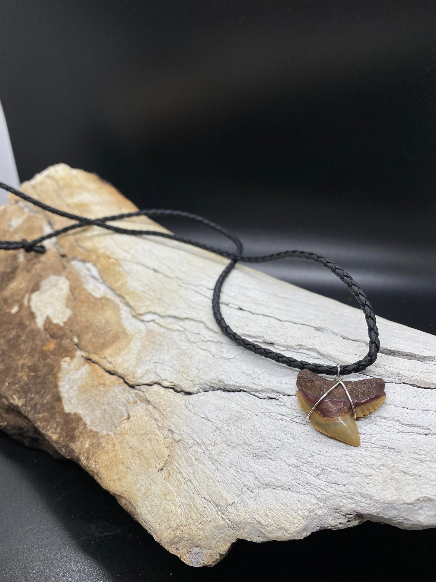 Tiger Shark Necklace, Shark Tooth Necklace, Fossil Shark Tooth Necklace