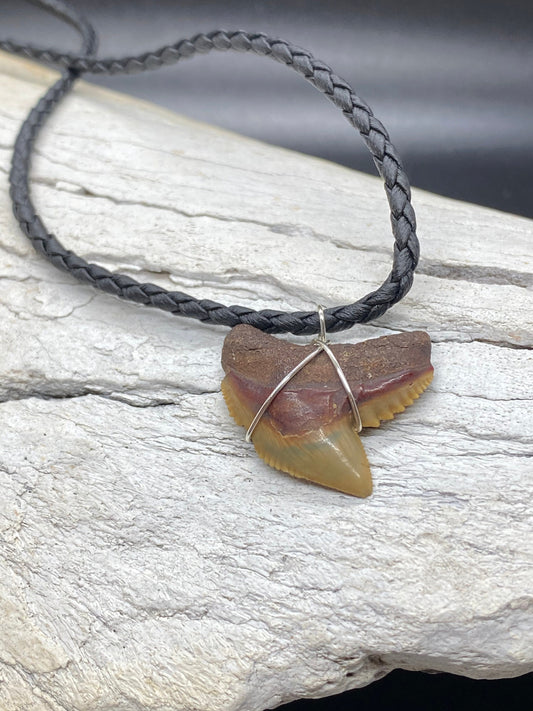 Tiger Shark Necklace, Shark Tooth Necklace, Fossil Shark Tooth Necklace