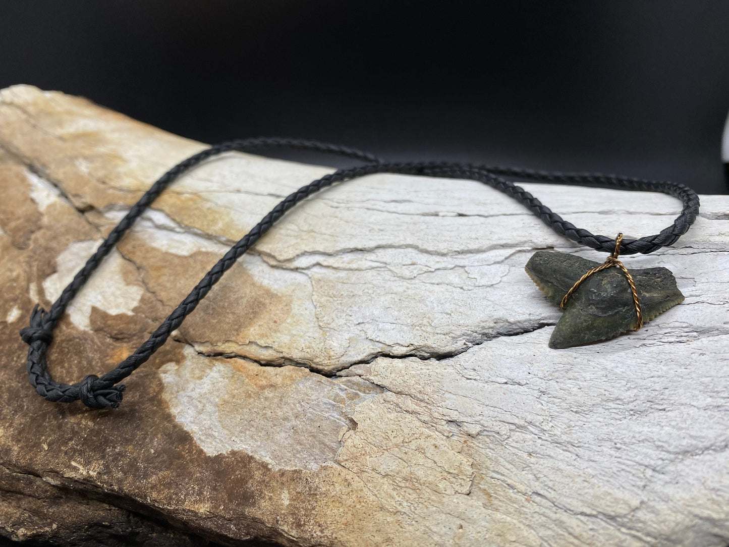 Tiger Shark Necklace, Shark Tooth Necklace, Fossil Shark Tooth Necklace