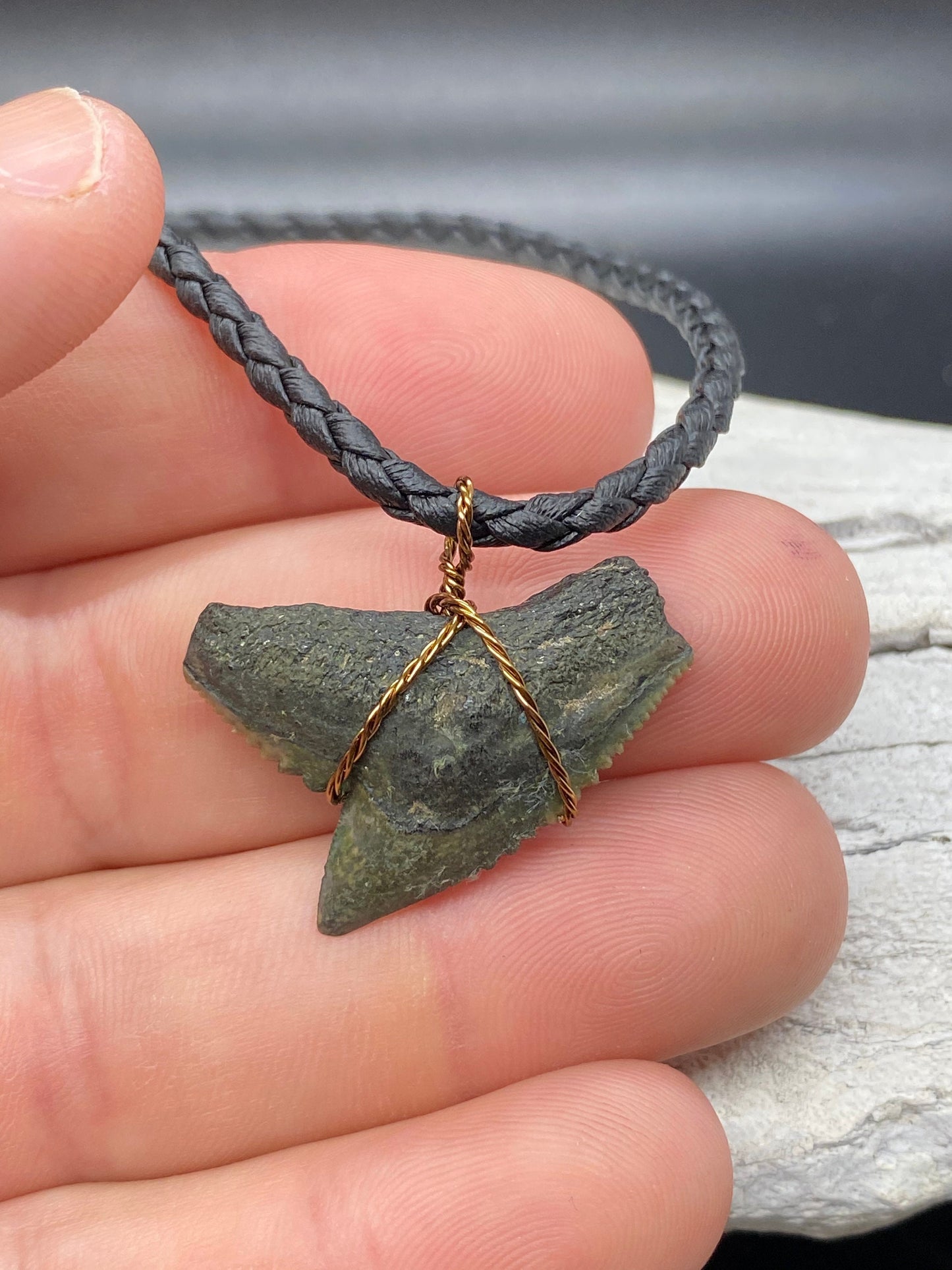 Tiger Shark Necklace, Shark Tooth Necklace, Fossil Shark Tooth Necklace