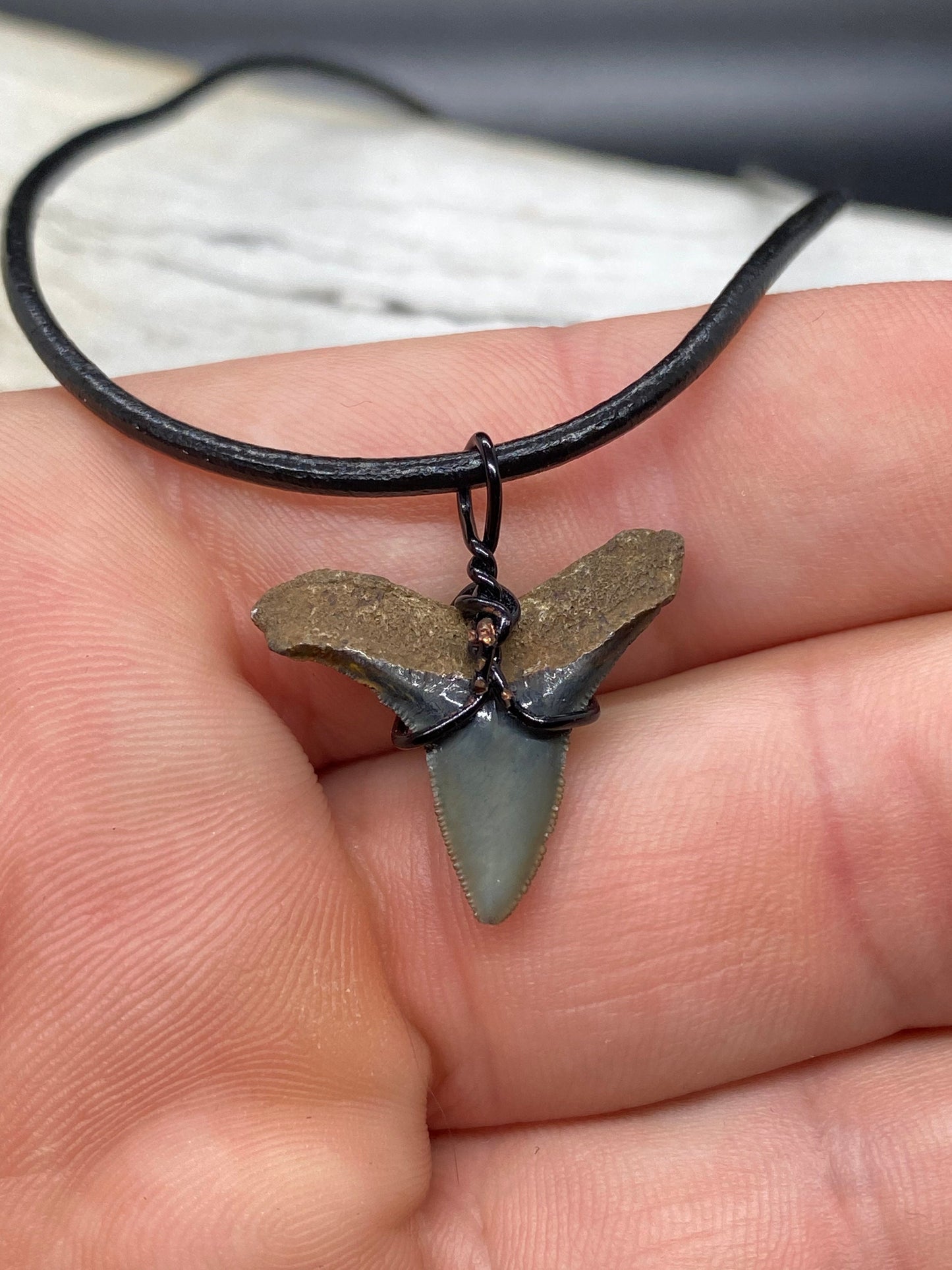 Bull Shark Necklace, Shark Tooth Necklace, Fossil Shark Tooth Necklace