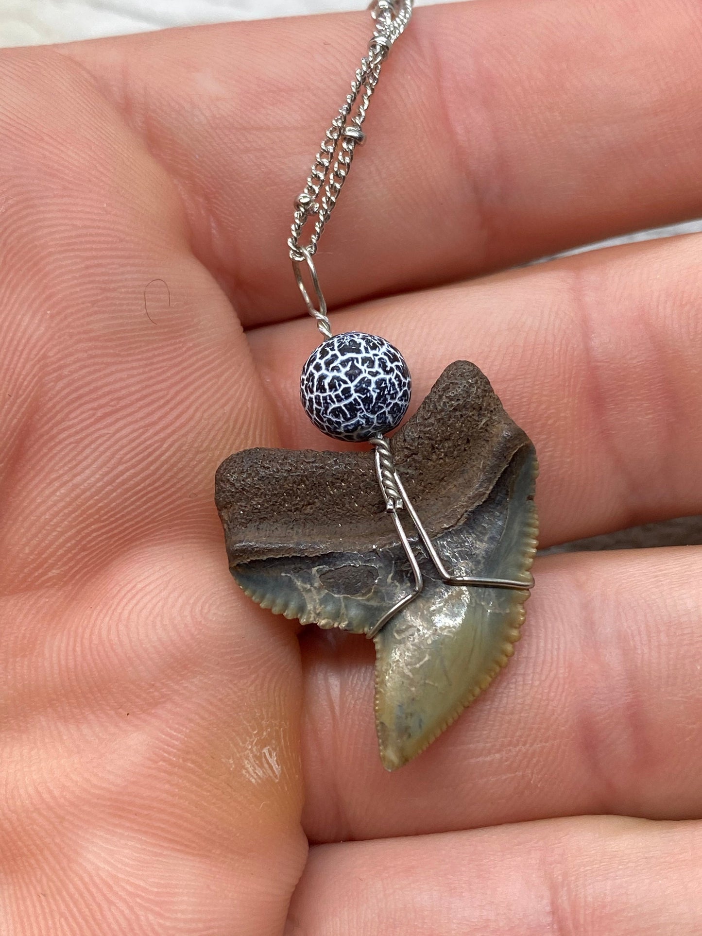 Tiger Shark Necklace, Shark Tooth Necklace, Fossil Shark Tooth Necklace