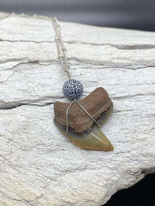 Tiger Shark Necklace, Shark Tooth Necklace, Fossil Shark Tooth Necklace