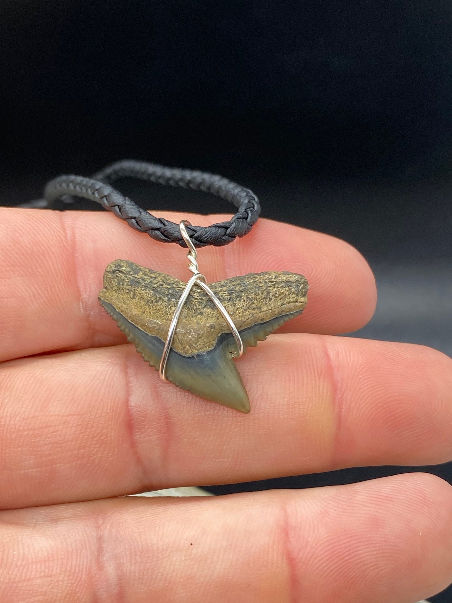 Tiger Shark Necklace, Shark Tooth Necklace, Fossil Shark Tooth Necklace