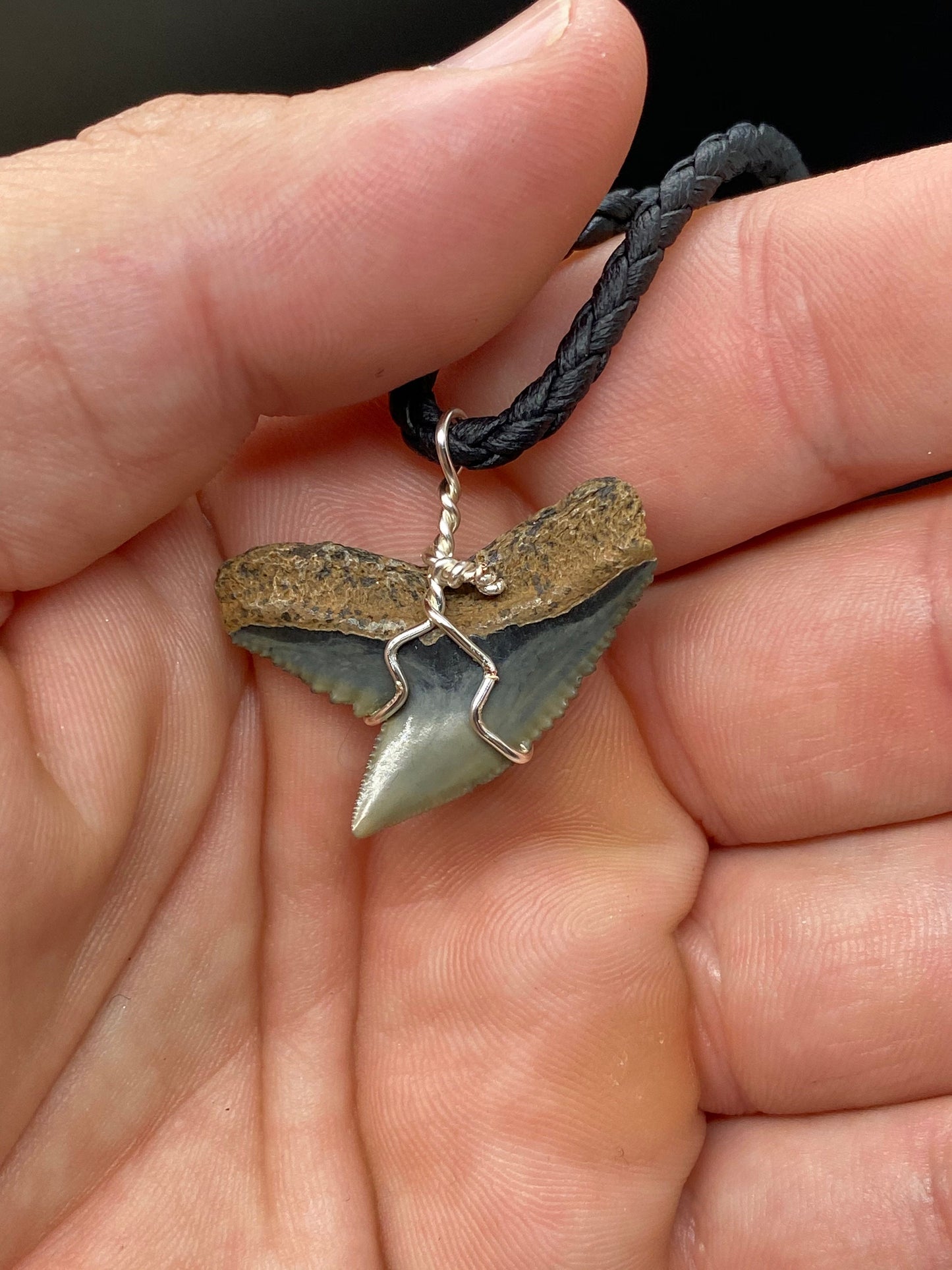 Tiger Shark Necklace, Shark Tooth Necklace, Fossil Shark Tooth Necklace