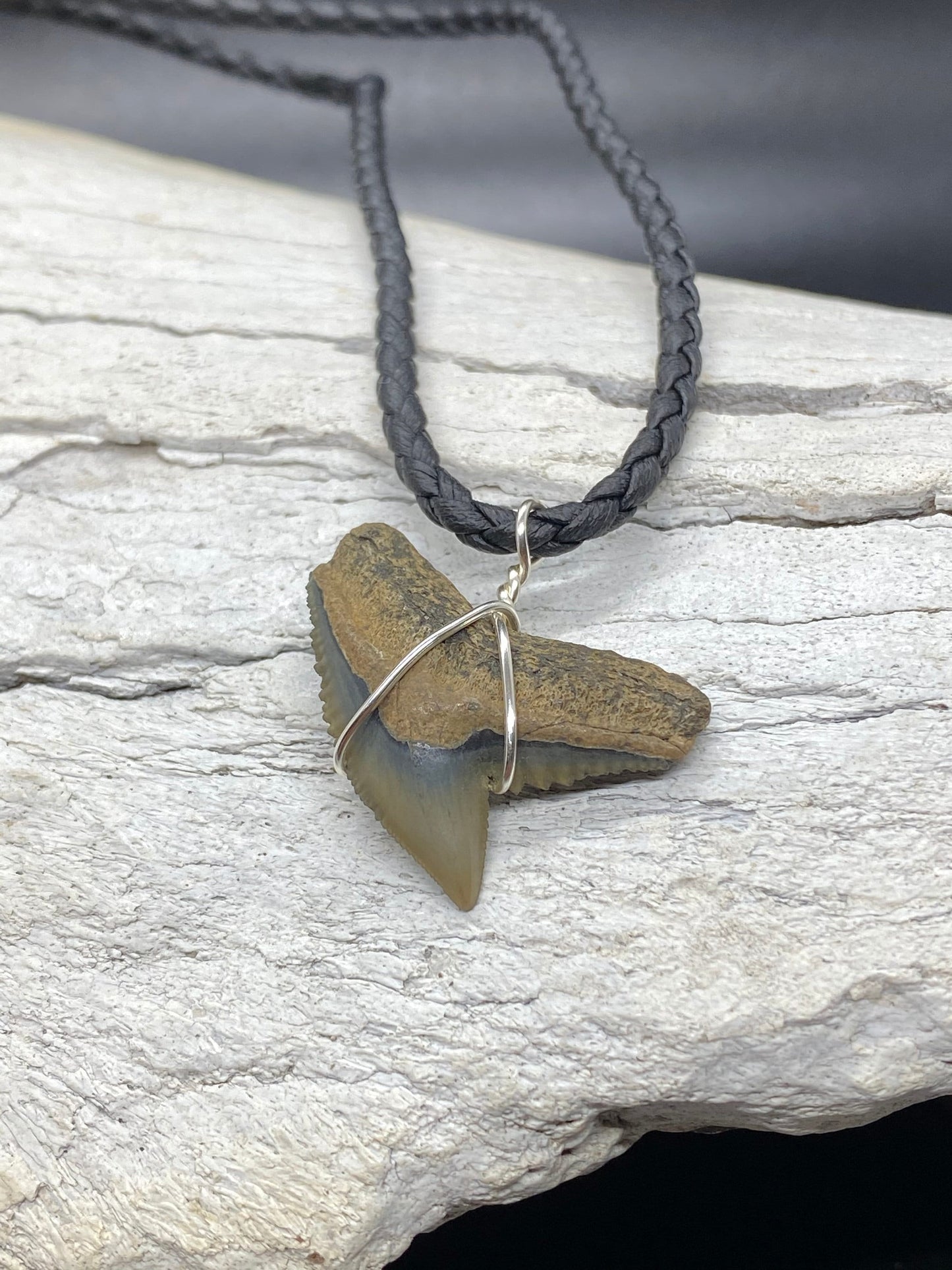 Tiger Shark Necklace, Shark Tooth Necklace, Fossil Shark Tooth Necklace