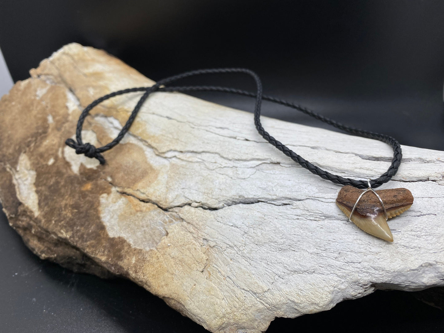 Tiger Shark Necklace, Shark Tooth Necklace, Fossil Shark Tooth Necklace