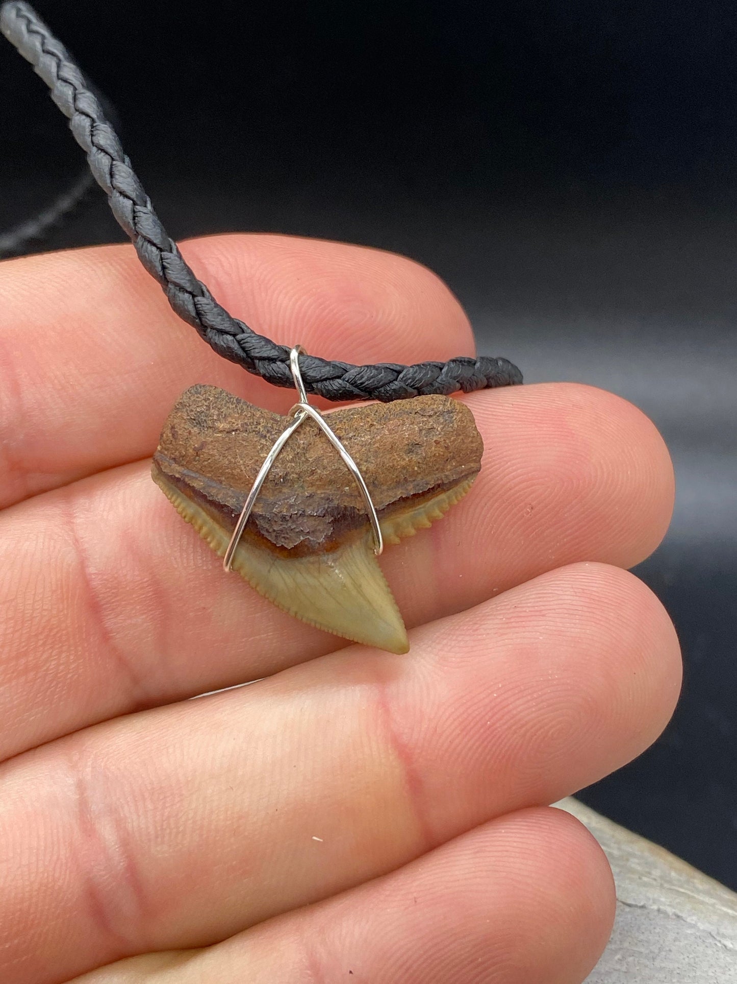 Tiger Shark Necklace, Shark Tooth Necklace, Fossil Shark Tooth Necklace