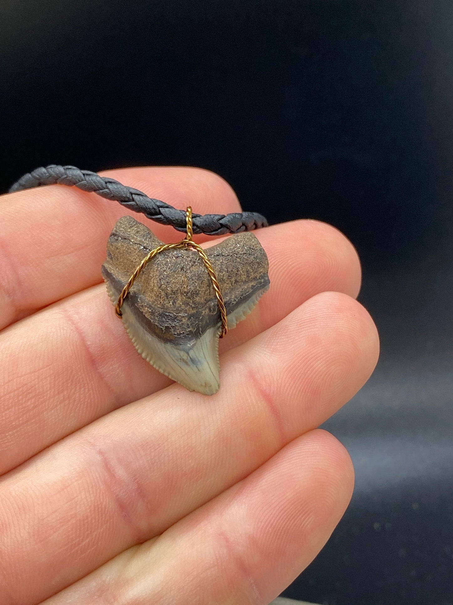 Tiger Shark Necklace, Shark Tooth Necklace, Fossil Shark Tooth Necklace