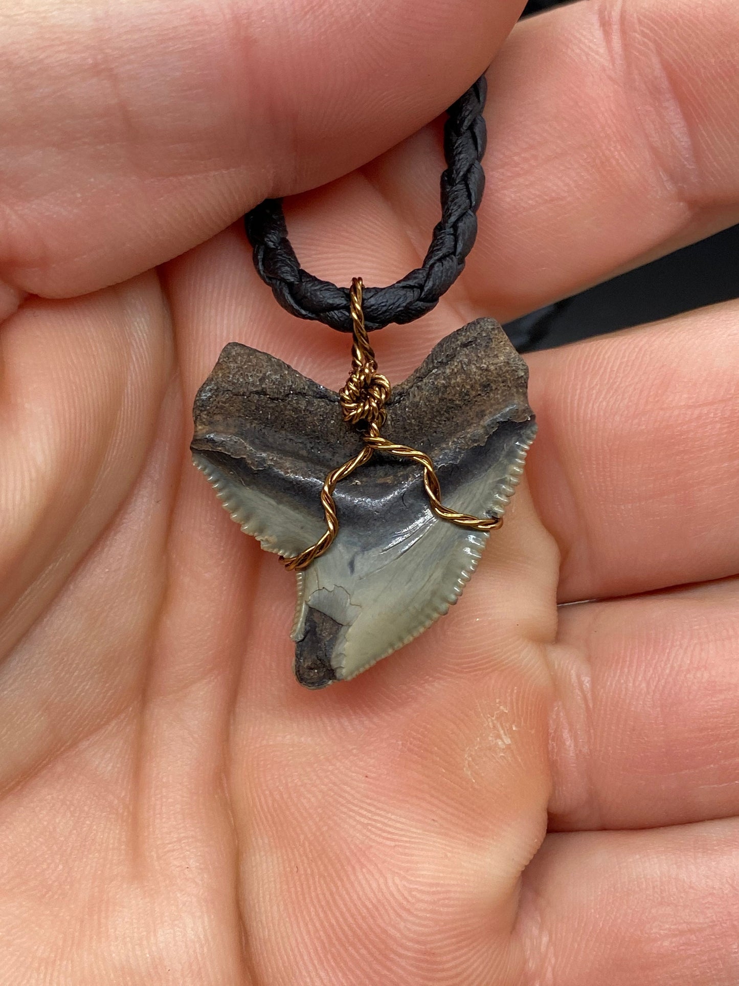 Tiger Shark Necklace, Shark Tooth Necklace, Fossil Shark Tooth Necklace