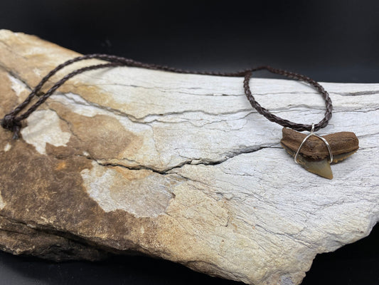 Fossil tiger shark tooth necklace - view 2