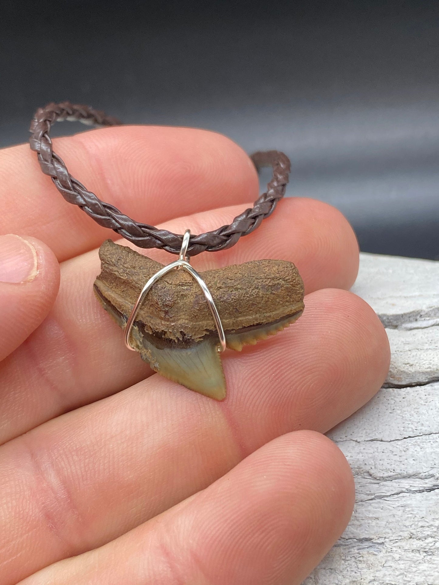 Tiger Shark Necklace, Shark Tooth Necklace, Fossil Shark Tooth Necklace