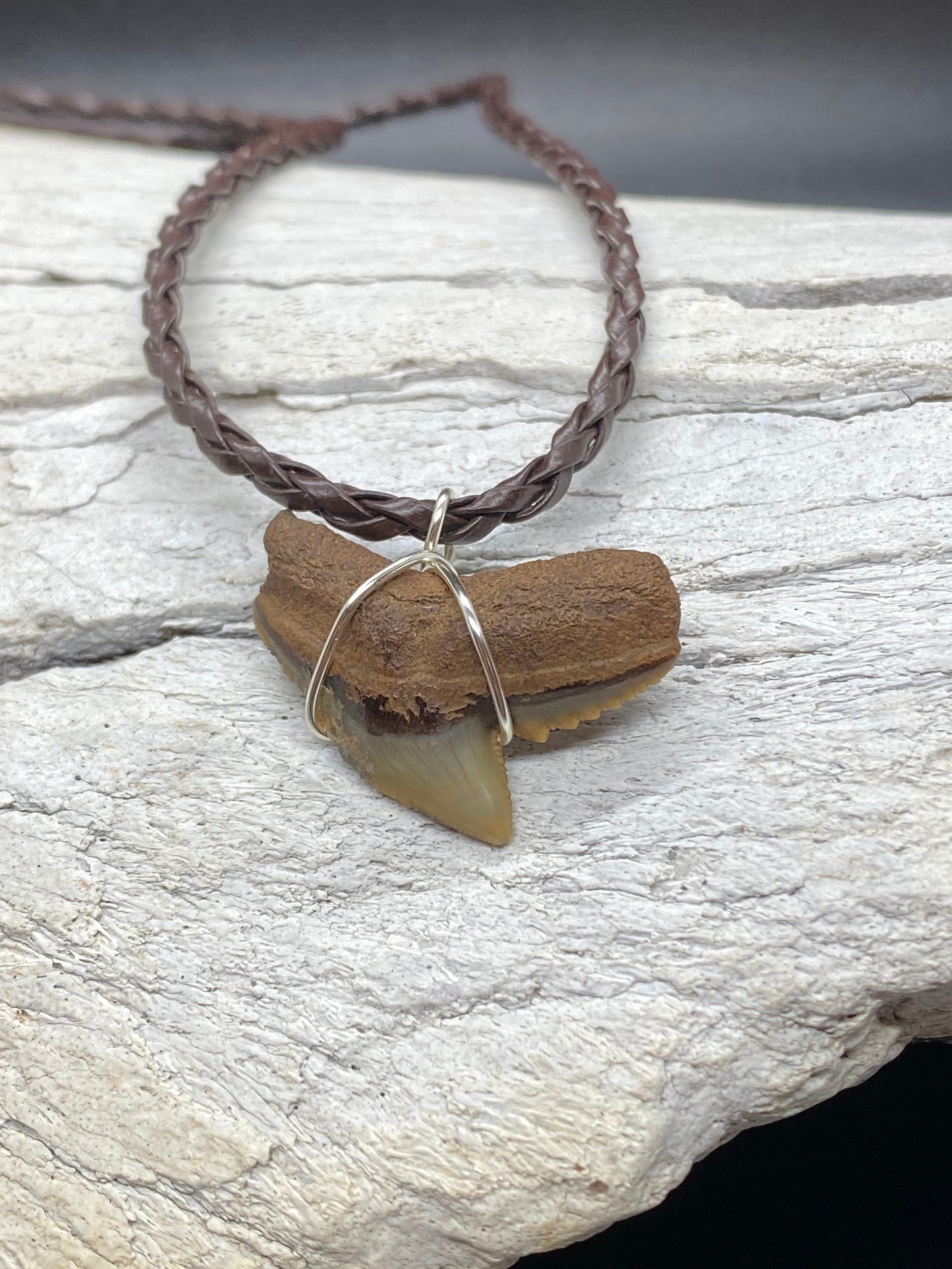 Tiger Shark Necklace, Shark Tooth Necklace, Fossil Shark Tooth Necklace
