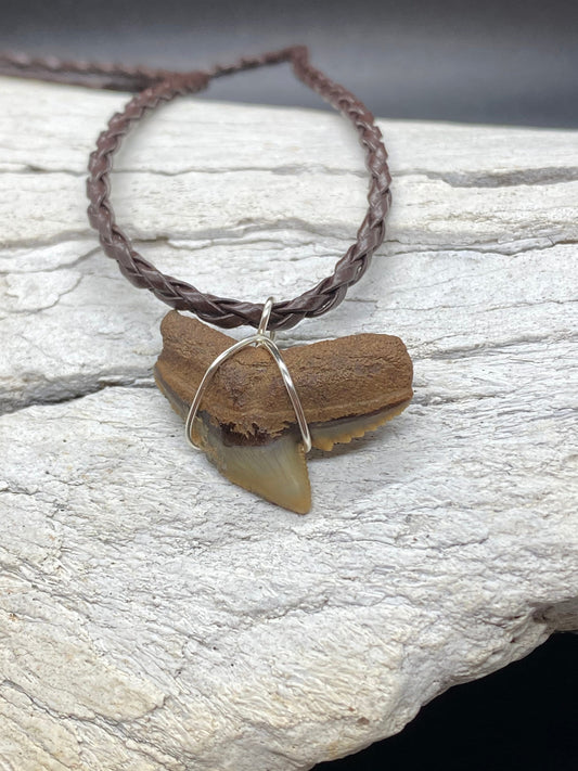 Tiger Shark Necklace, Shark Tooth Necklace, Fossil Shark Tooth Necklace