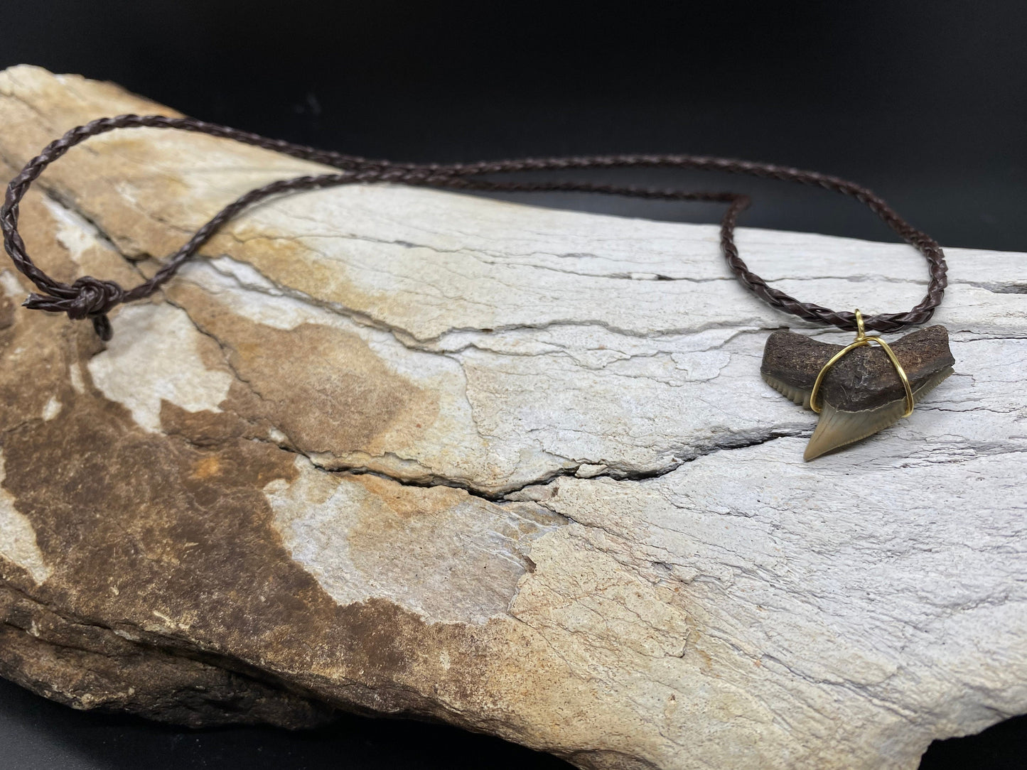 Tiger Shark Necklace, Shark Tooth Necklace, Fossil Shark Tooth Necklace