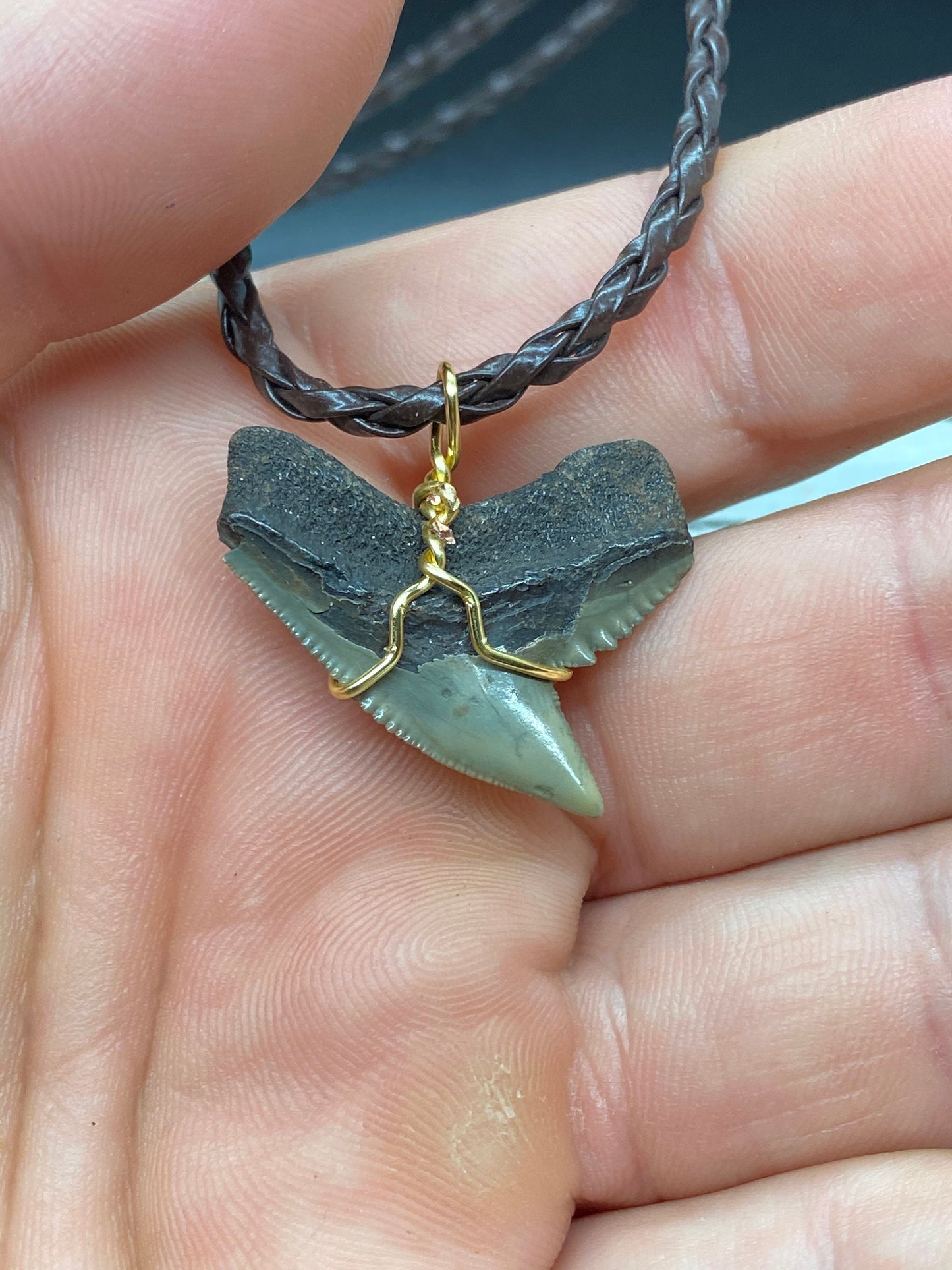 Tiger Shark Necklace, Shark Tooth Necklace, Fossil Shark Tooth Necklace