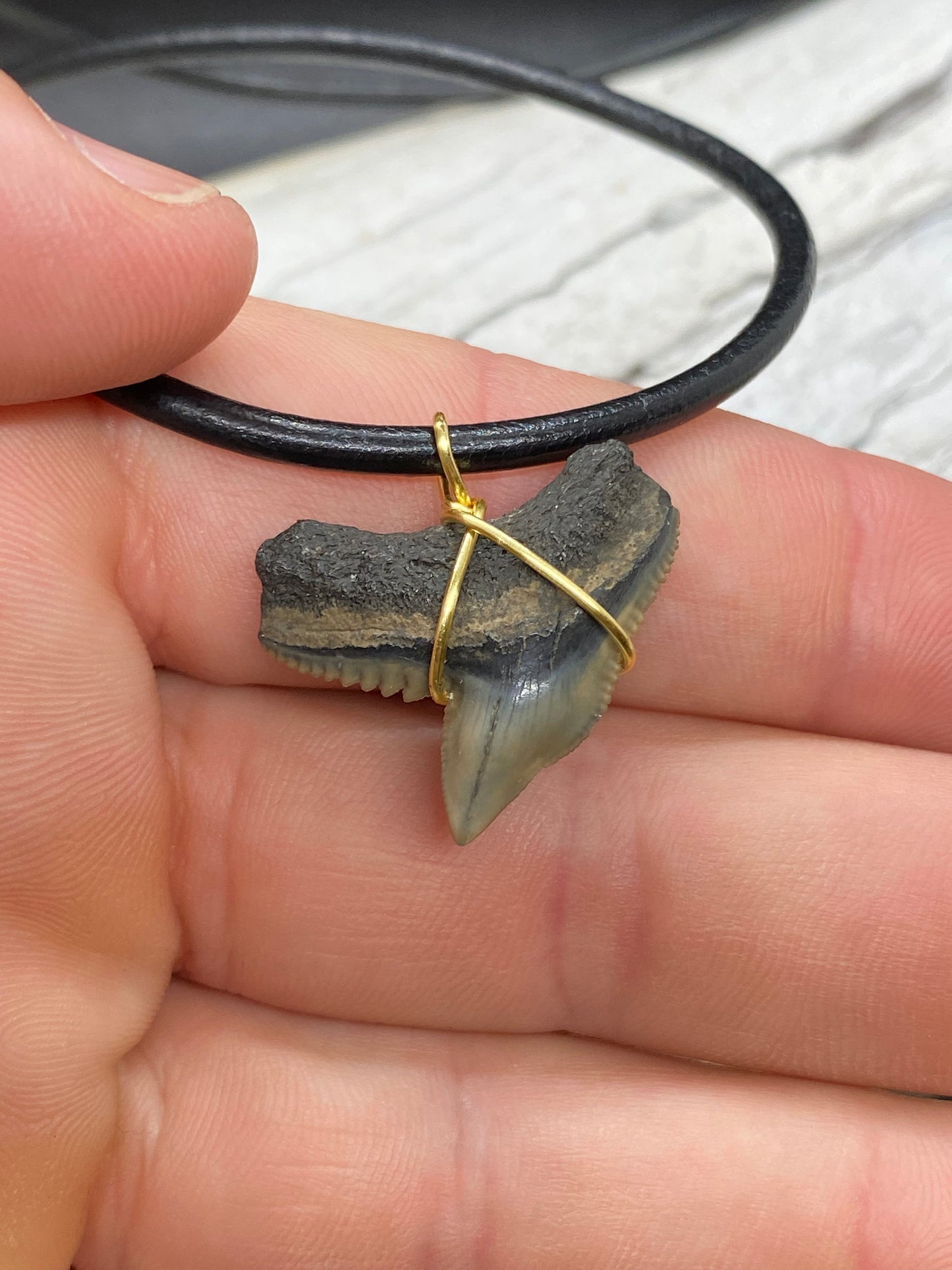 Tiger Shark Necklace, Shark Tooth Necklace, Fossil Shark Tooth Necklace