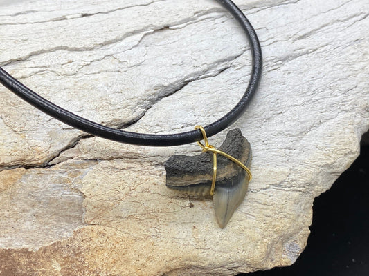 Tiger Shark Necklace, Shark Tooth Necklace, Fossil Shark Tooth Necklace