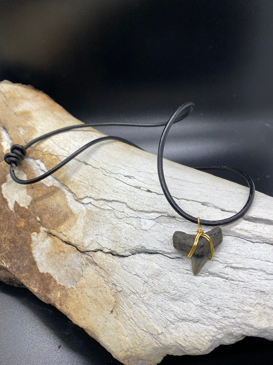 Fossil tiger shark tooth necklace - view 2