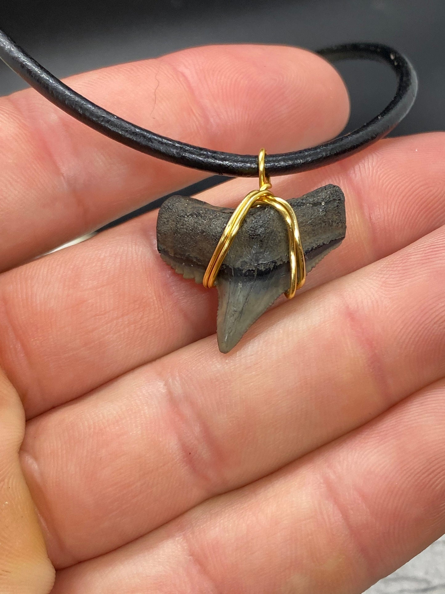 Tiger Shark Necklace, Shark Tooth Necklace, Fossil Shark Tooth Necklace