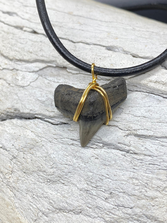 Tiger Shark Necklace, Shark Tooth Necklace, Fossil Shark Tooth Necklace