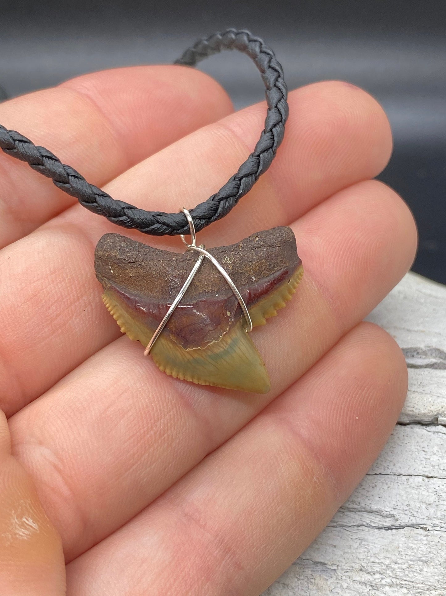 Tiger Shark Necklace, Shark Tooth Necklace, Fossil Shark Tooth Necklace