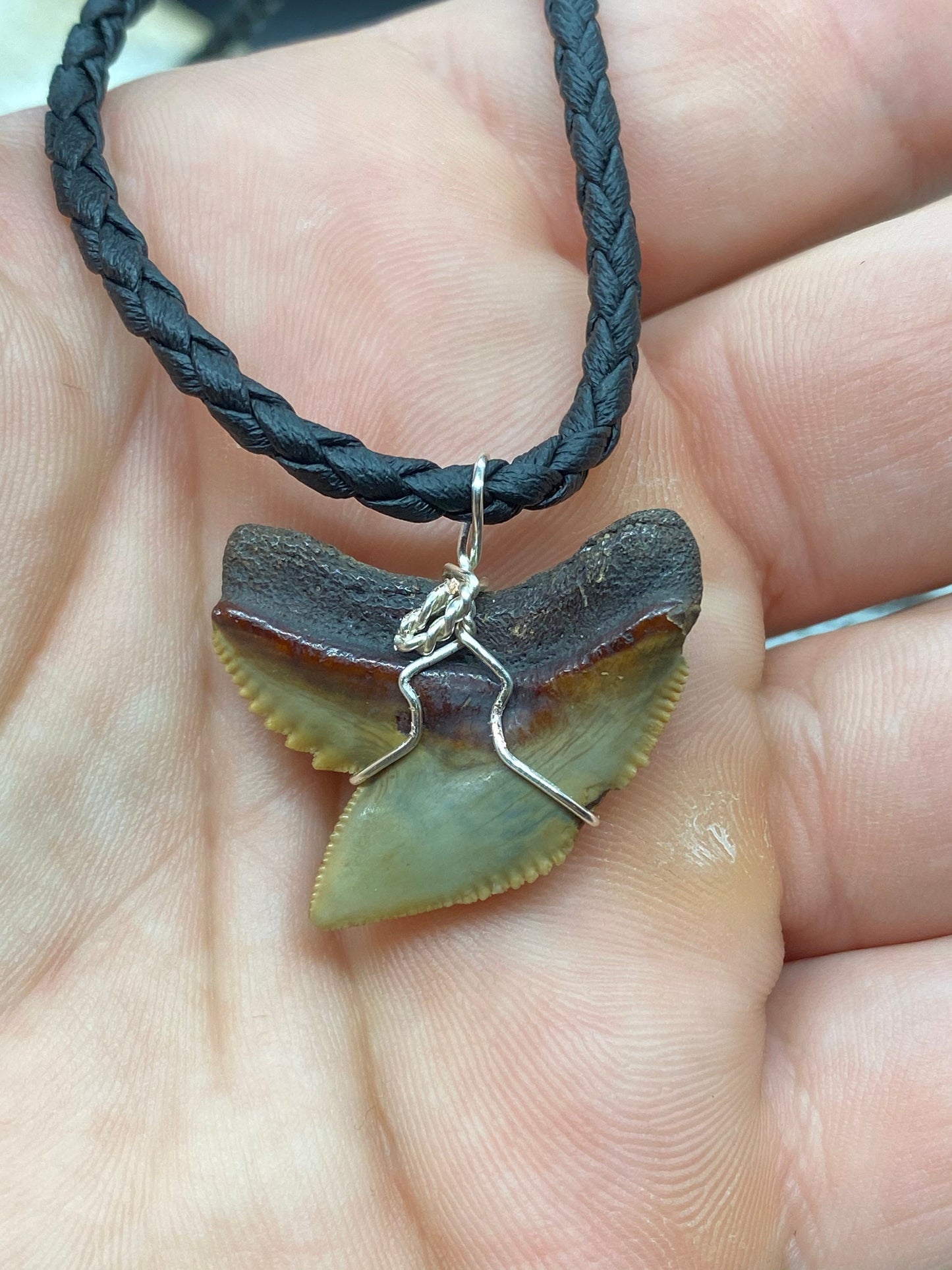 Tiger Shark Necklace, Shark Tooth Necklace, Fossil Shark Tooth Necklace