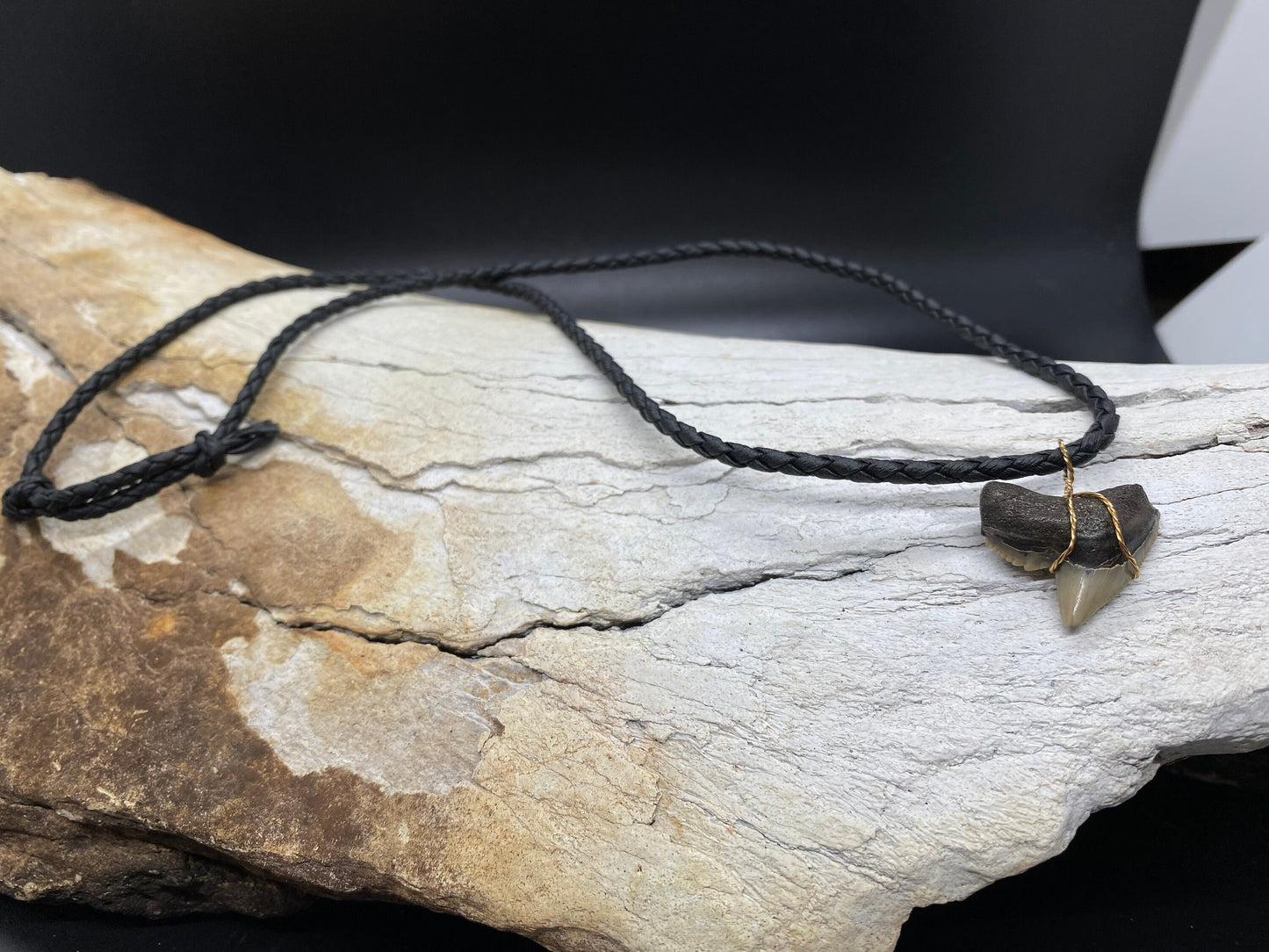 Tiger Shark Necklace, Shark Tooth Necklace, Fossil Shark Tooth Necklace