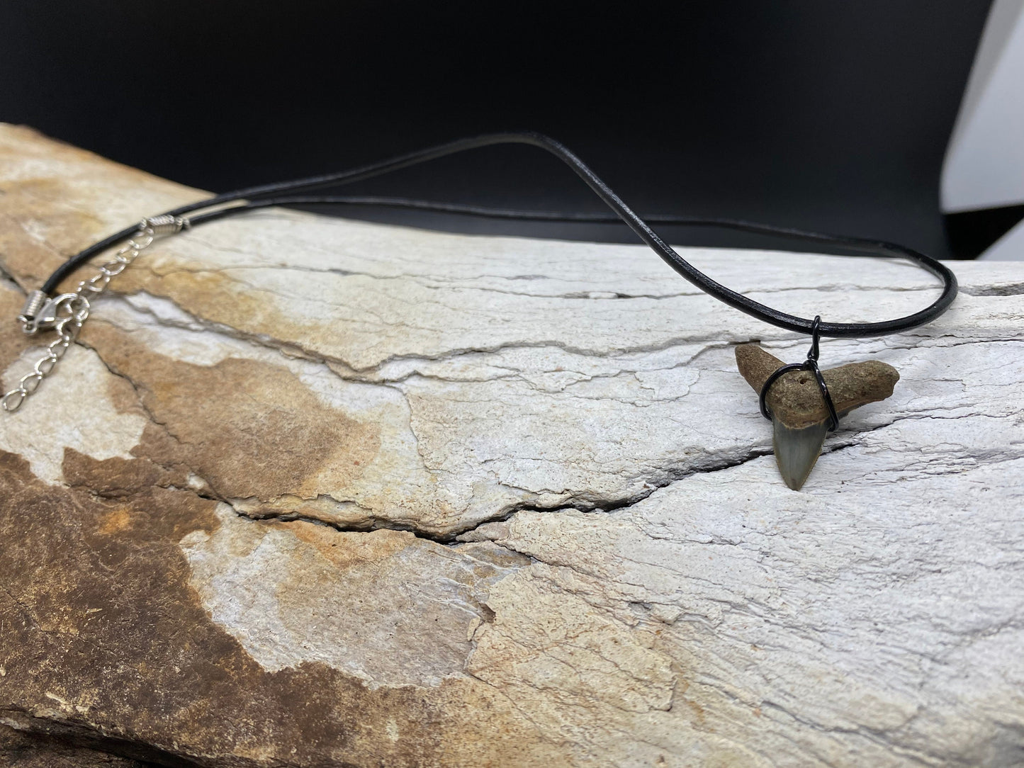 Bull Shark Necklace, Shark Tooth Necklace, Fossil Shark Tooth Necklace