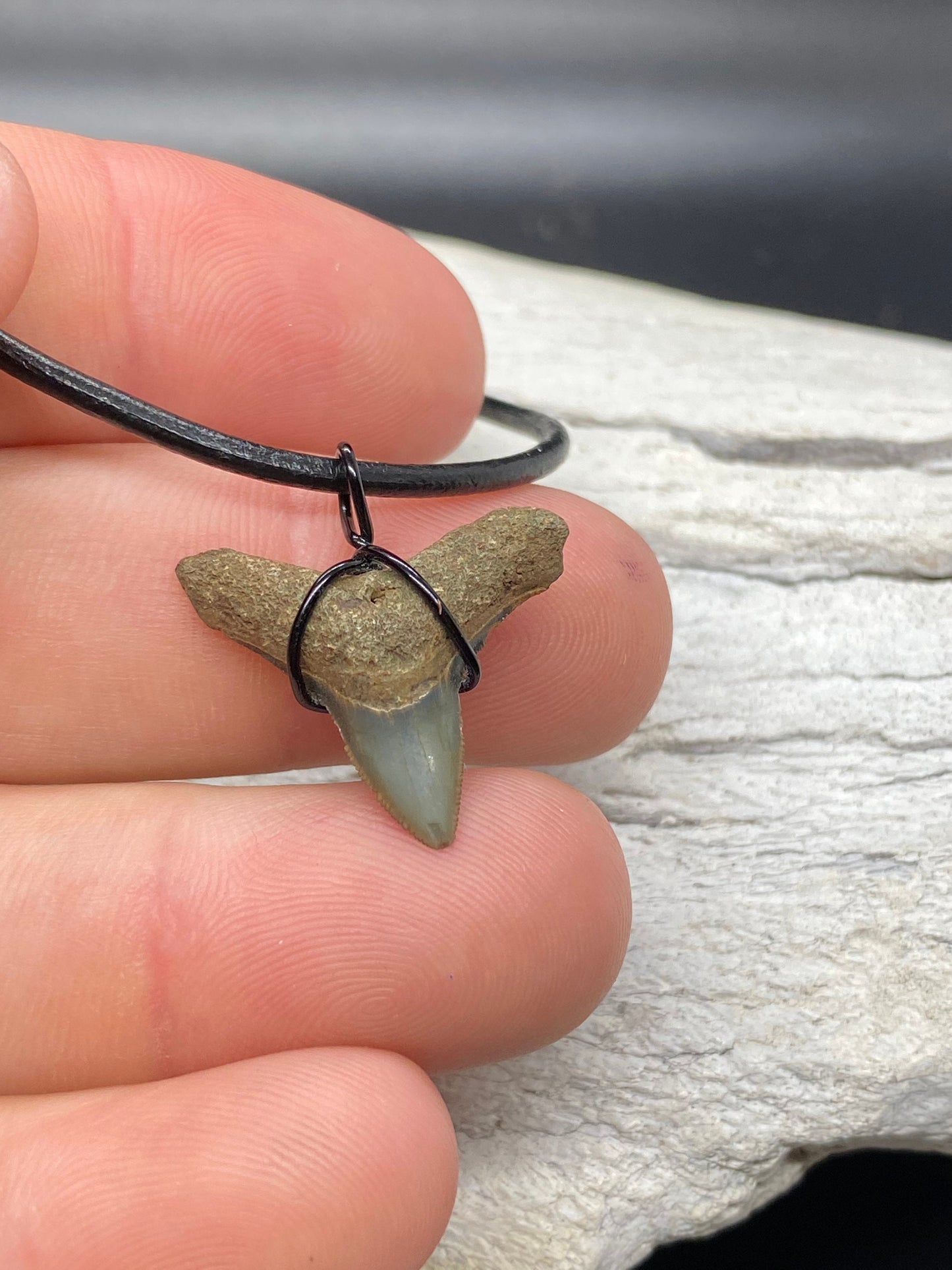 Bull Shark Necklace, Shark Tooth Necklace, Fossil Shark Tooth Necklace
