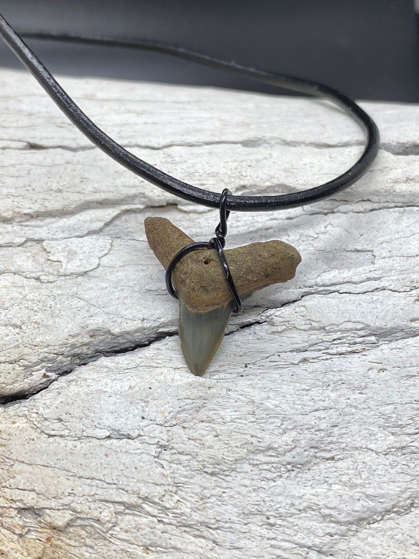 Bull Shark Necklace, Shark Tooth Necklace, Fossil Shark Tooth Necklace