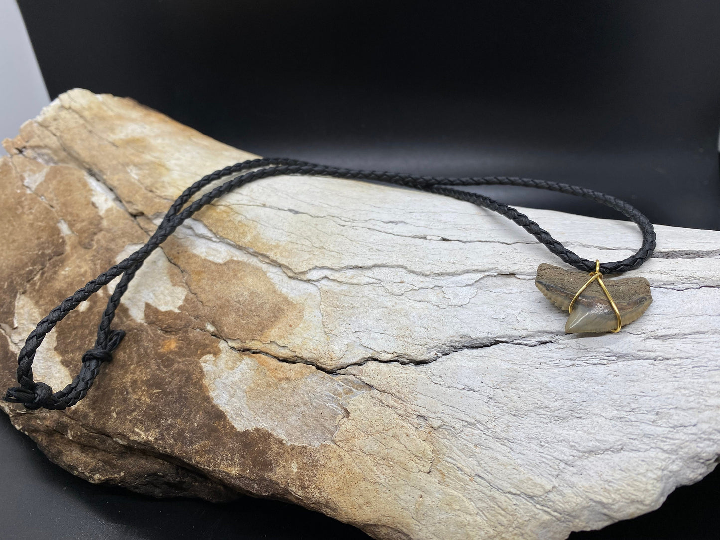 Tiger Shark Necklace, Shark Tooth Necklace, Fossil Shark Tooth Necklace