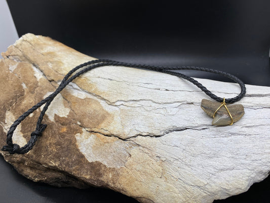 Fossil tiger shark tooth necklace - view 2