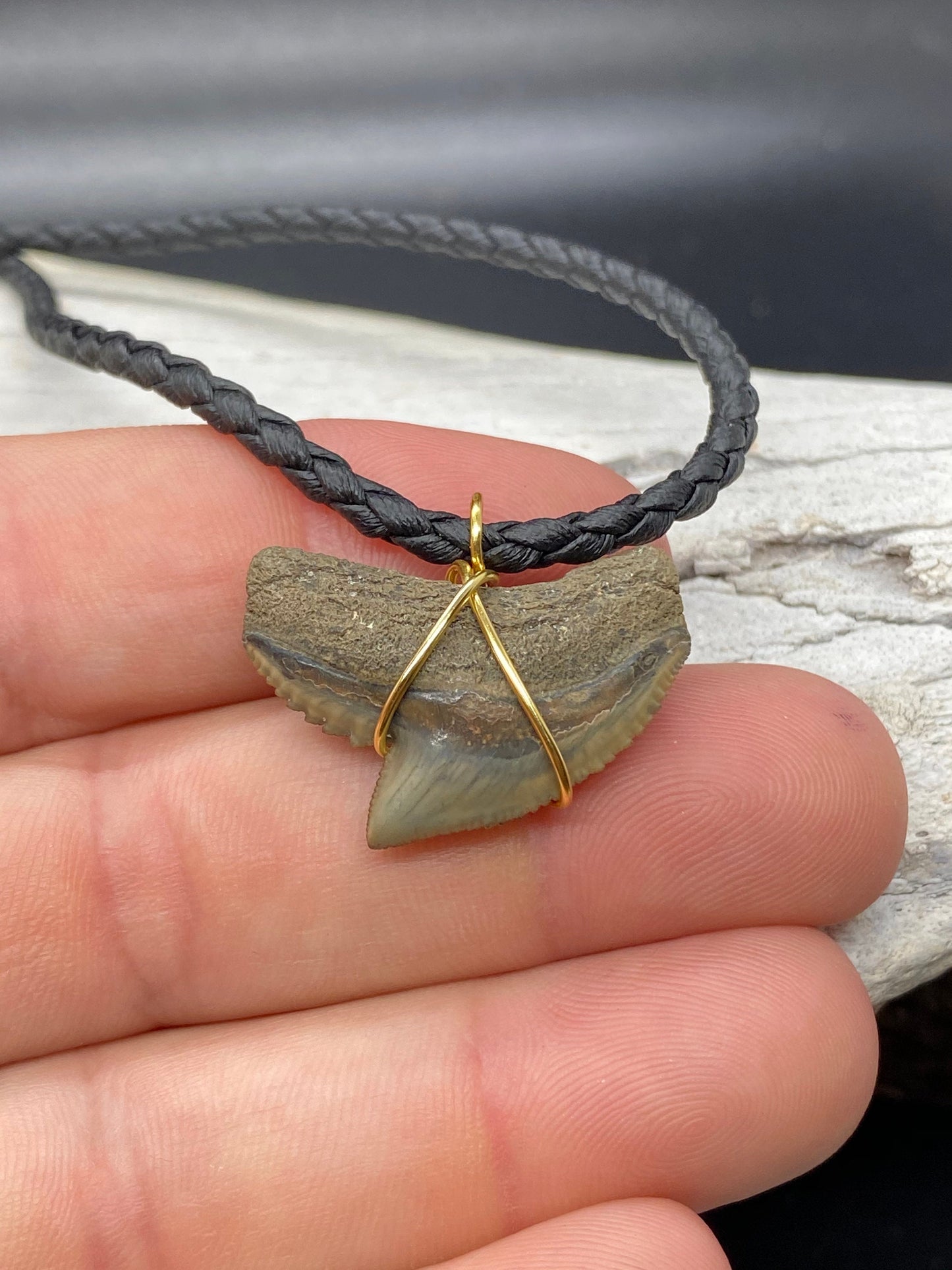 Tiger Shark Necklace, Shark Tooth Necklace, Fossil Shark Tooth Necklace