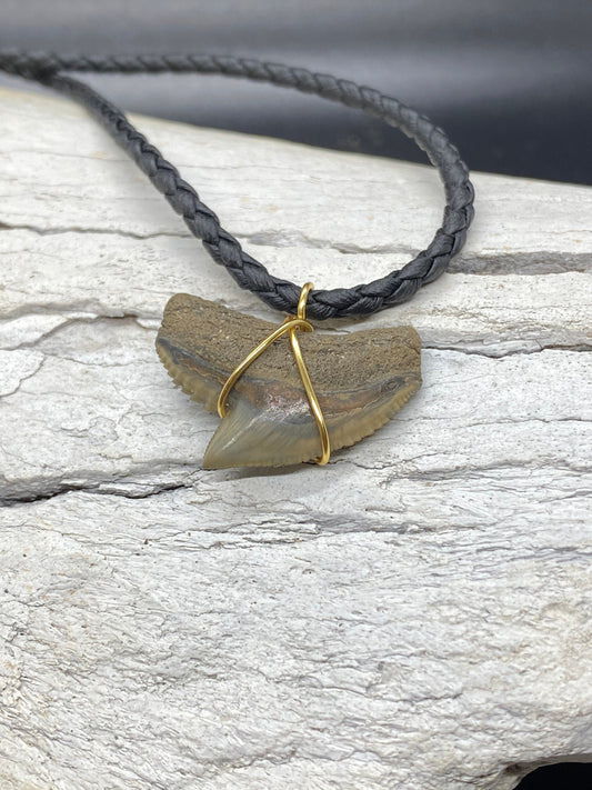 Tiger Shark Necklace, Shark Tooth Necklace, Fossil Shark Tooth Necklace