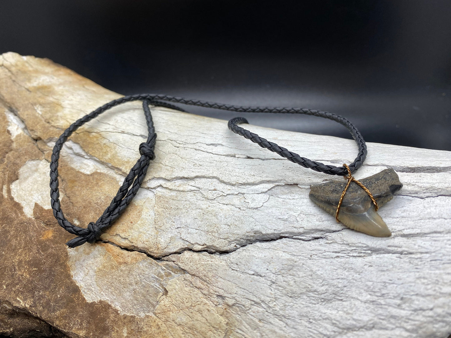 Tiger Shark Necklace, Shark Tooth Necklace, Fossil Shark Tooth Necklace