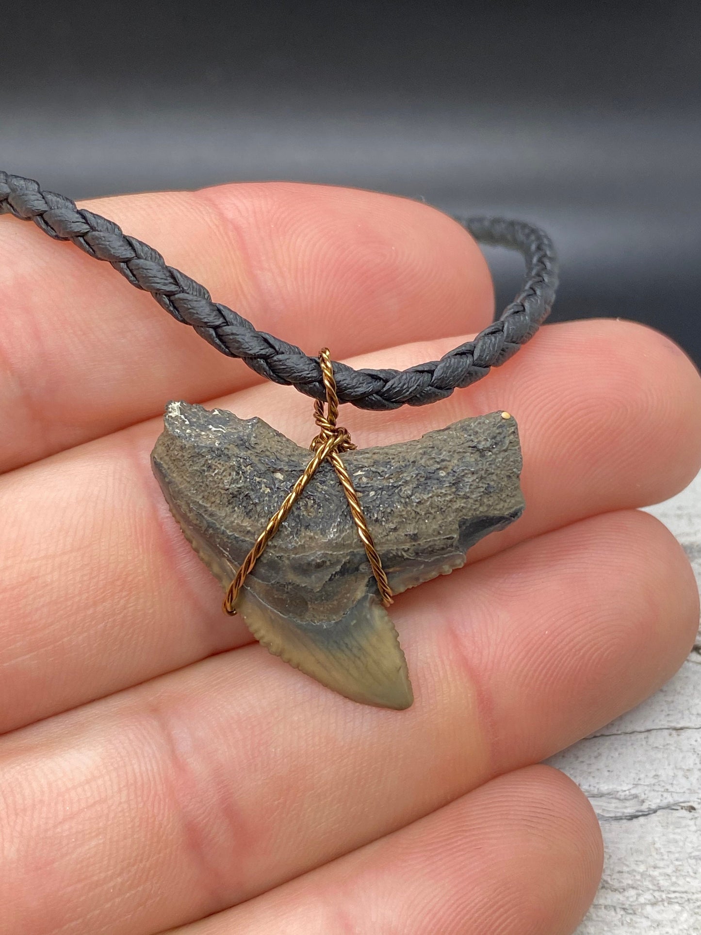 Tiger Shark Necklace, Shark Tooth Necklace, Fossil Shark Tooth Necklace