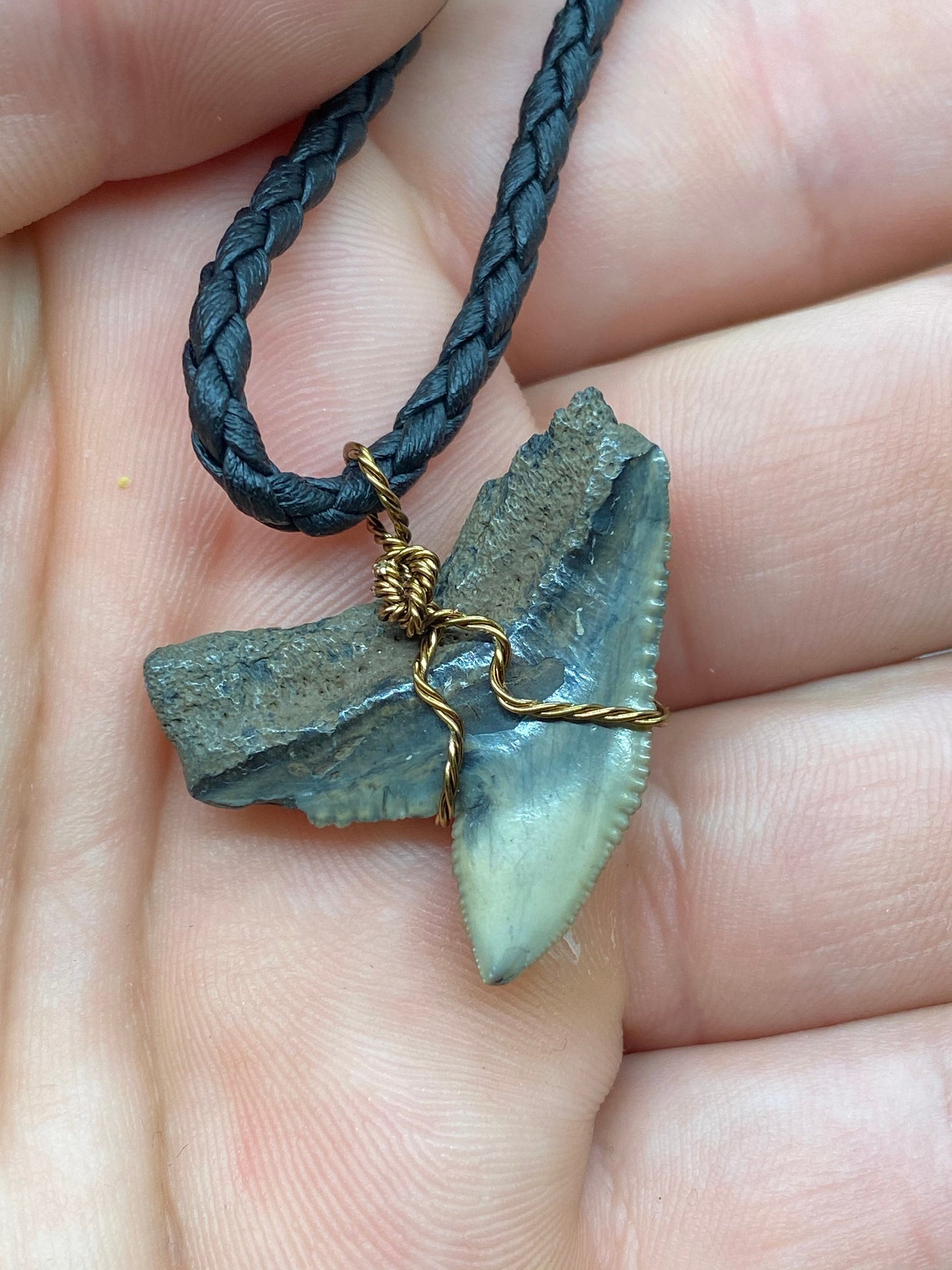 Tiger Shark Necklace, Shark Tooth Necklace, Fossil Shark Tooth Necklace