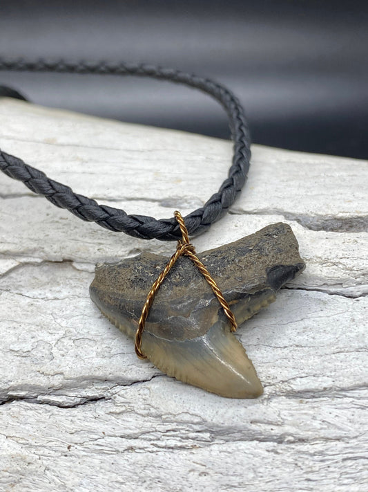 Tiger Shark Necklace, Shark Tooth Necklace, Fossil Shark Tooth Necklace