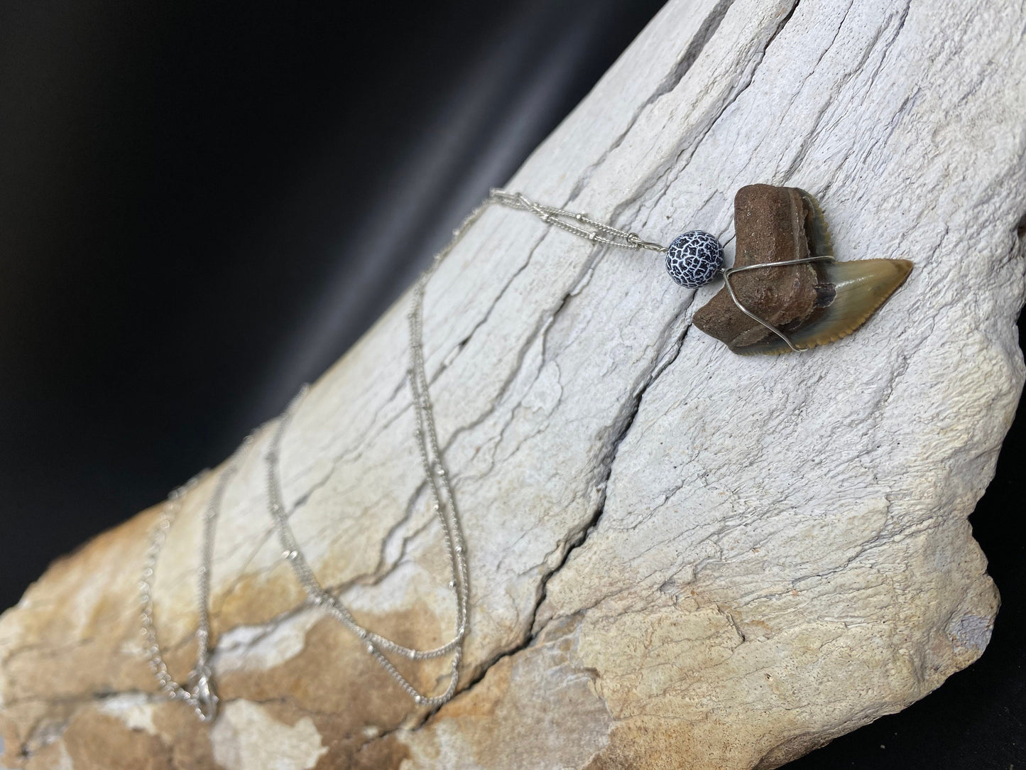 Tiger Shark Necklace, Shark Tooth Necklace, Fossil Shark Tooth Necklace